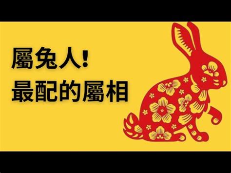 男雞女兔|生肖屬雞男生和屬兔女生的配對分析